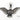 Wide Winged Eagle Pendant