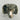 Ram Ring